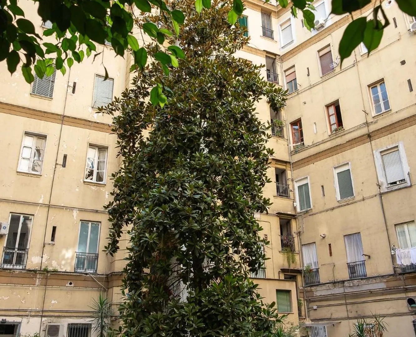 Dmore237 Naples Italy